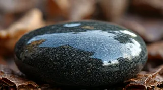 The Obsidian Compass: Navigating the Uncharted Terrain of Creative Inspiration