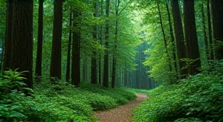 Best Hiking Trails in Washington State: A Pacific Northwest Guide